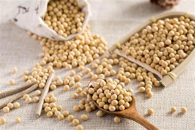 大豆用什么肥料最好