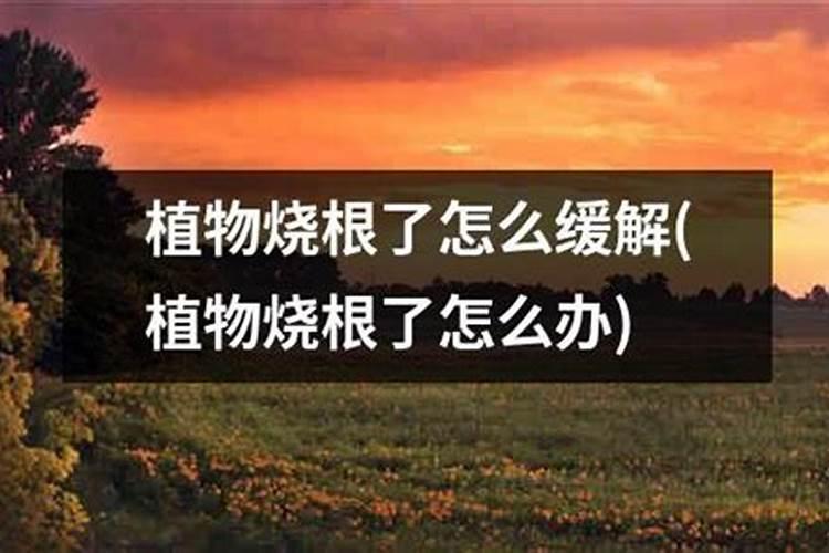 一亩花生施磷肥120斤会不会烧根