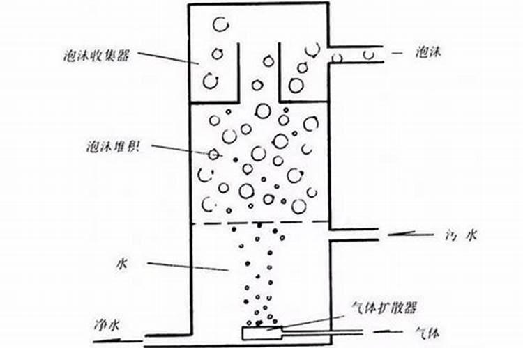 海水缸为什么要蛋白分离器