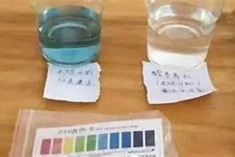 西洋诺威施有人了解吗？