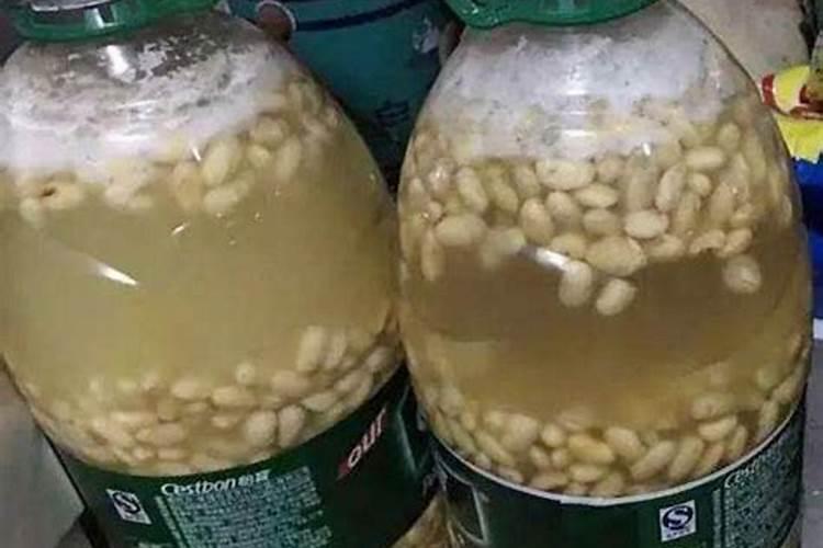 磷酸二氢钾是什么肥料怎样使用