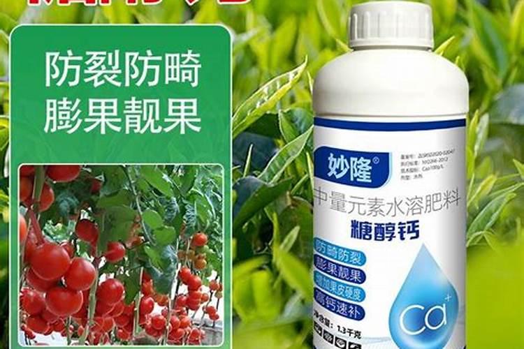怎样用安其酵母制作叶面肥料