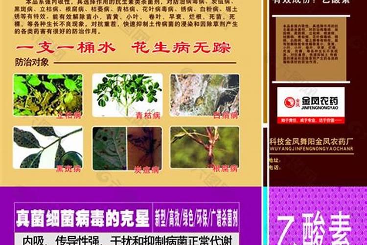 玉米一号金大棒叶面肥有用吗