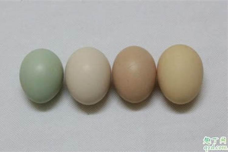 熟鸡蛋黄能做花肥吗？