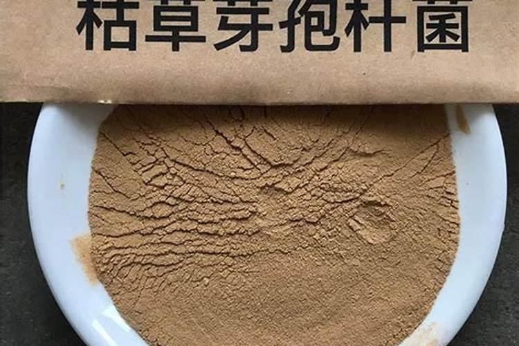 池塘水发黑快速处理方法