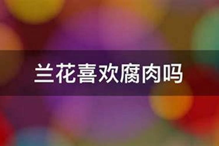 鱼和西兰花能一起吃吗 鱼和西兰花可不可以一起吃呢