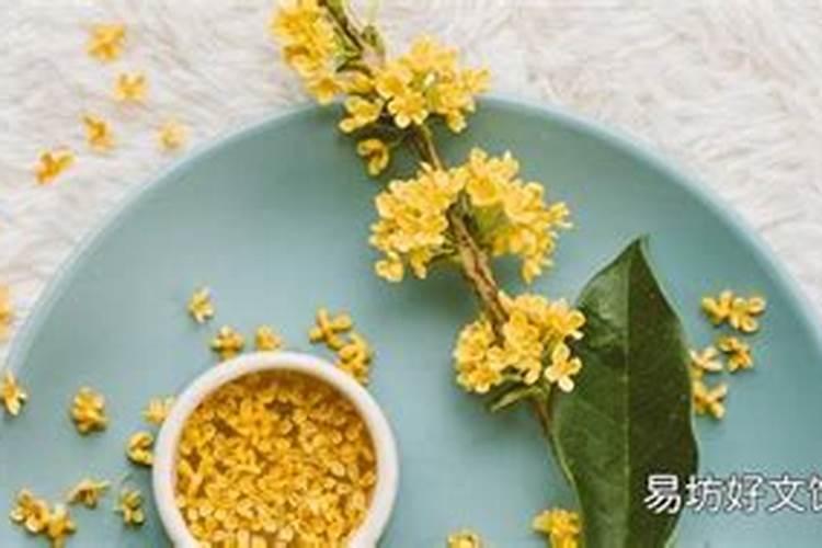 桂花树施什么肥料最好