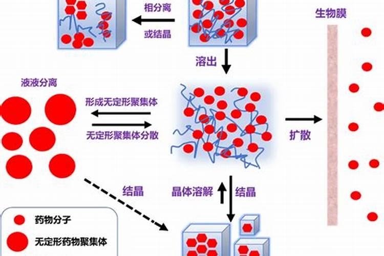 抗冻蛋白的工作原理是什么？