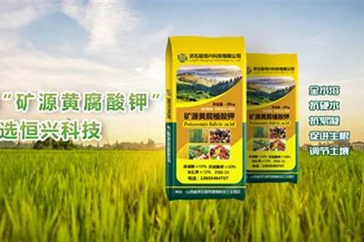 饲料添加剂有什么用