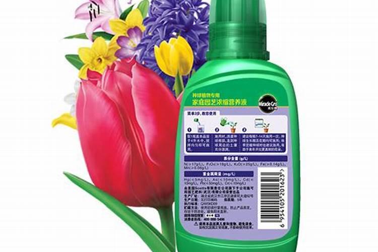 天脊16620硝酸钾水溶肥的批发价格是多少？