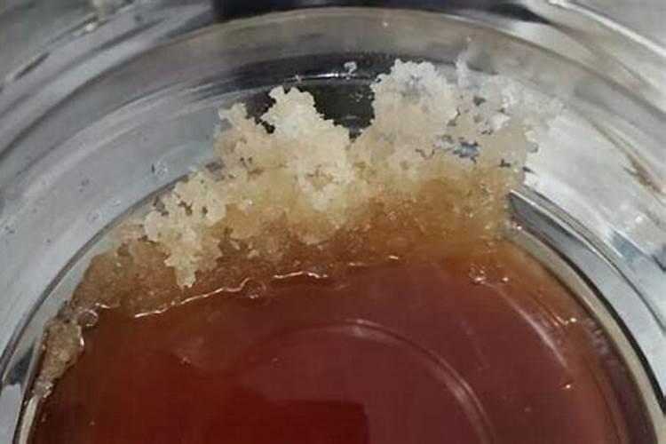 菊花开花期间怎么浇水和施肥