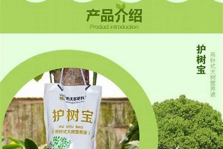 家里养花,只要准备3种肥料就够了