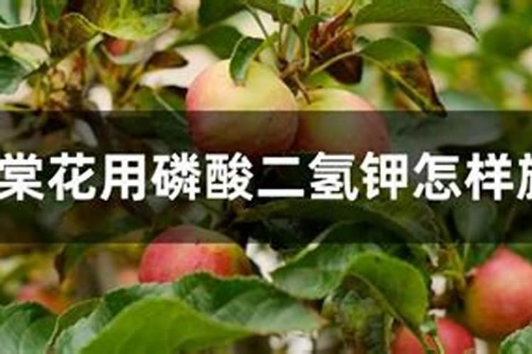 红糖小苏打米醋和磷酸二氢钾泡水可以喷蔬菜叶面吗？