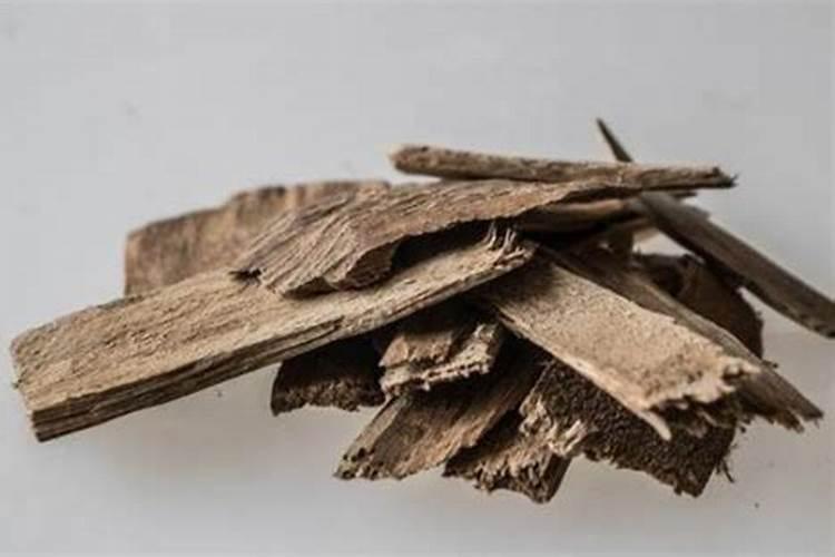 沉香苗什么时候种？沉香苗种植方法