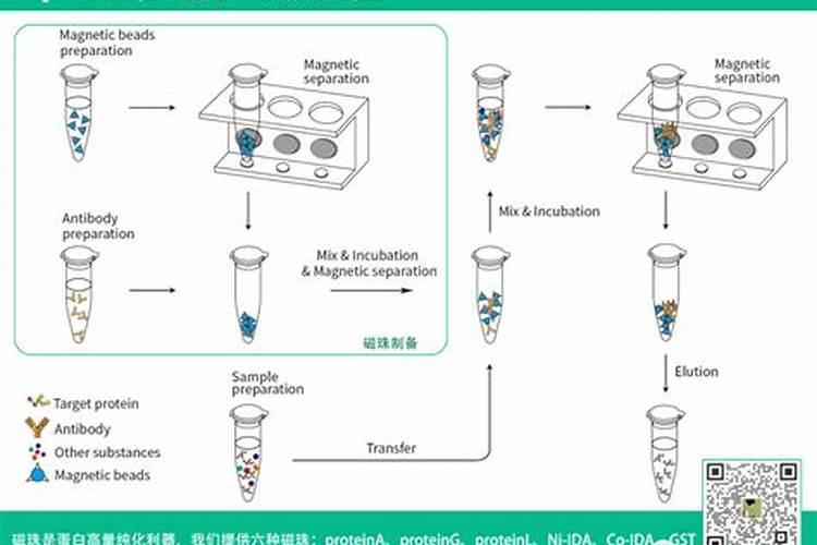 鱼蛋白水溶肥制作方法