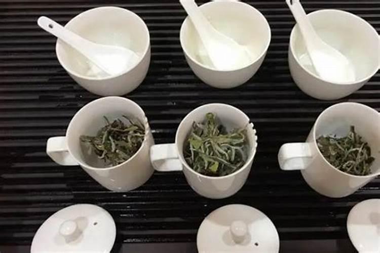 白茶施什么肥最好？