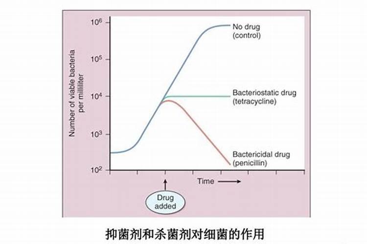 细菌性病害专用杀菌剂有哪些？该如何选择和使用？