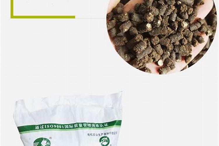 天脊16620硝酸钾水溶肥的批发价格是多少？