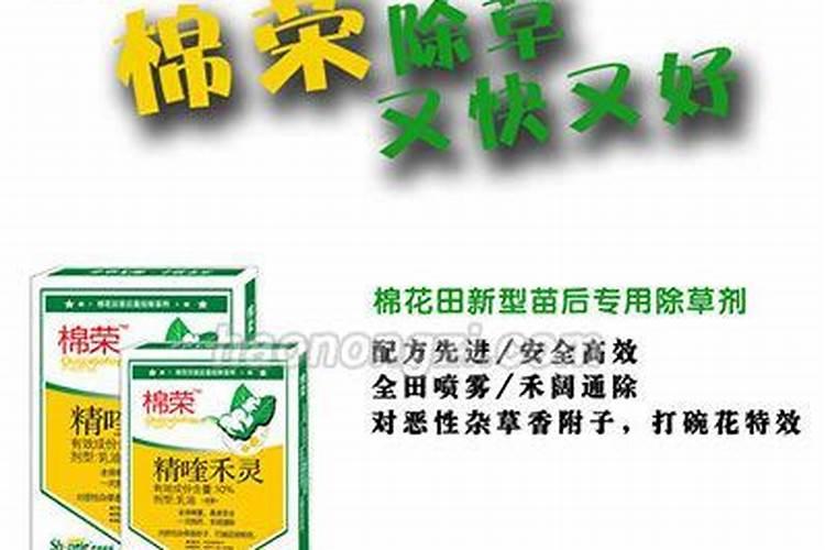 棉花落桃要注意,如何防治棉花落桃？