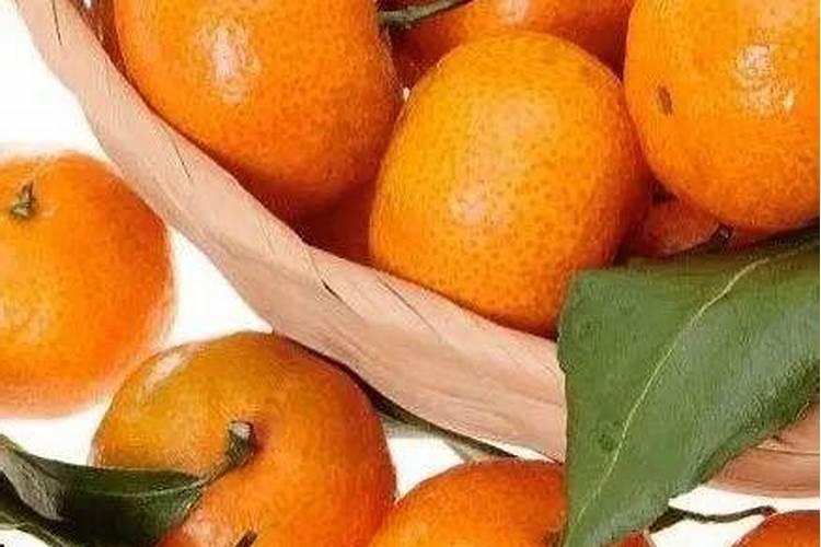 甘桔叶子枯萎果子细小是什么原因？