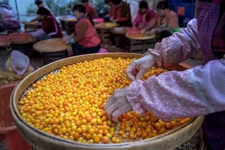 家门囗种植什么果树最好