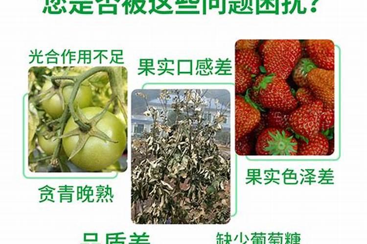 含有钾的水溶肥都有哪些种类