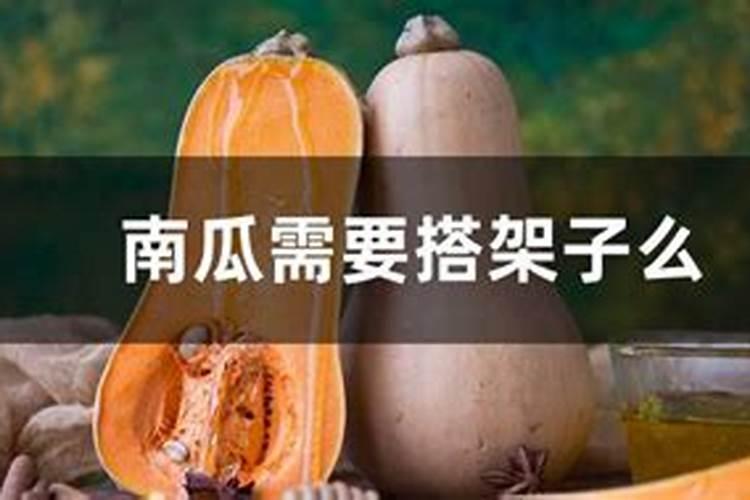 种植南瓜想要提高产量,对水肥的要求都有哪些？