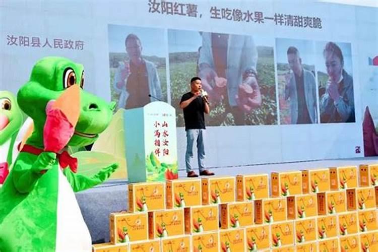 哪些品种红薯出淀粉量高？