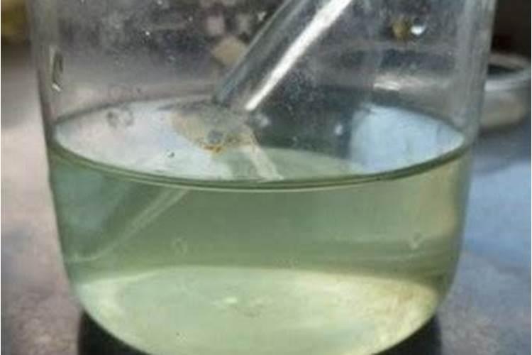 硫酸亚铁过量如何？盆栽