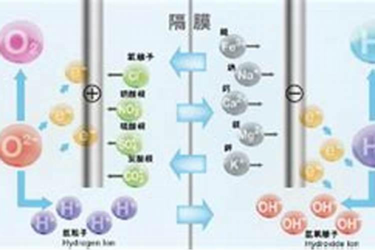 大量元素水溶肥怎么施用