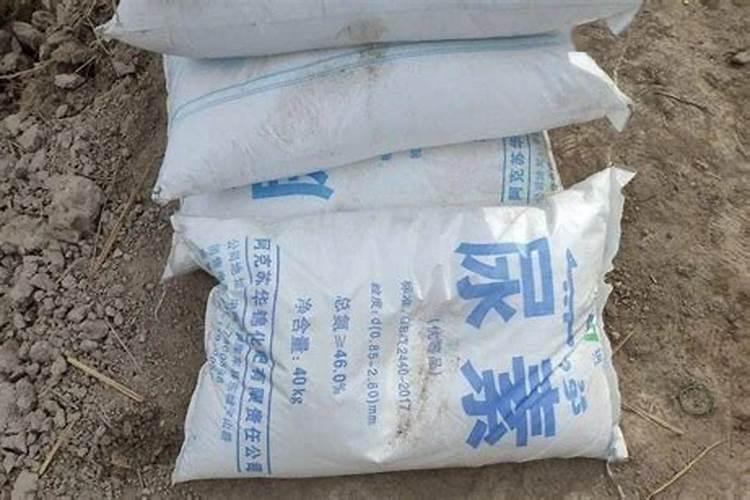 云浮去哪里买六堡茶
