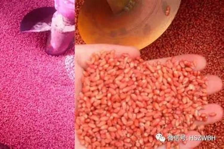 种植油菜为什么要施硼肥 油菜啥时候施硼肥好