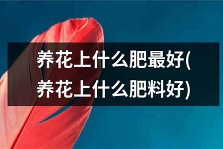 花卉植物用什么肥料好
