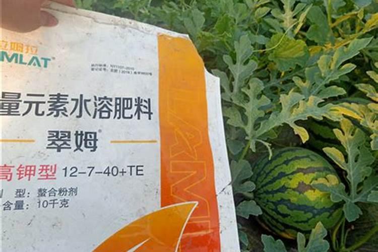 西瓜施肥多远会烧秧