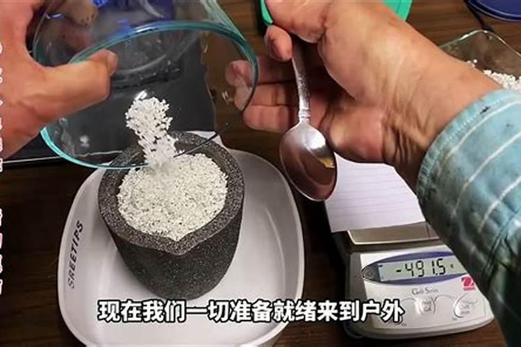 白银豆的种植方法？
