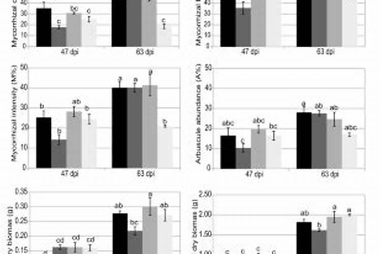 红糖加什么生根壮苗效果好