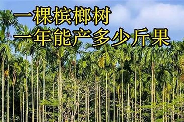 麦冬越冬后叶子全部干掉还能成活吗？