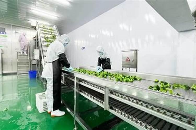 黄粉虫粪沙成蔬菜专用肥有哪些特点