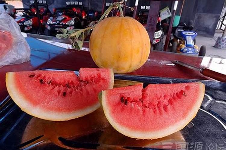 种植西瓜,主要步骤是什么？