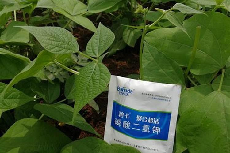 种下去两年的脐橙树,一年可以施肥几次？？？