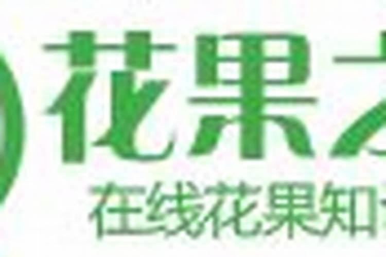在养花时如何使用磷肥