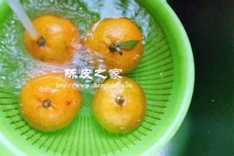 陈皮柑的种植技术与管理方法