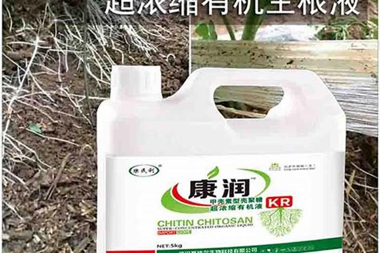 用什么肥可以丰根？