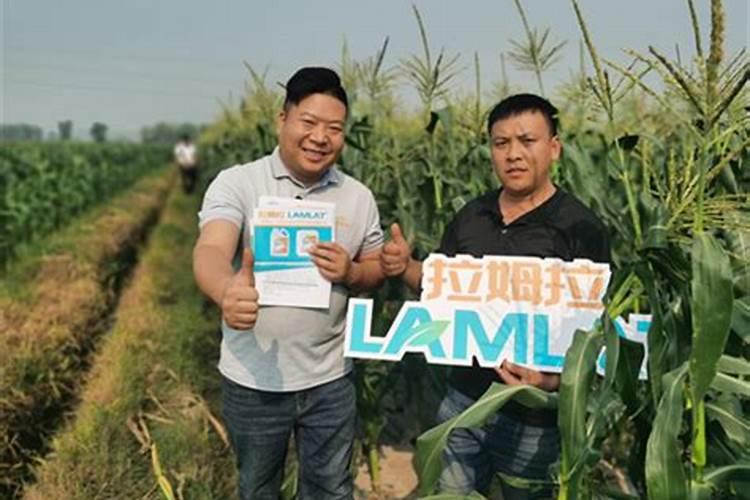 土壤质地与土壤肥力的关系