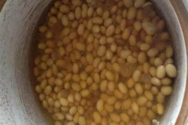 黄豆泡水浇花什么好处