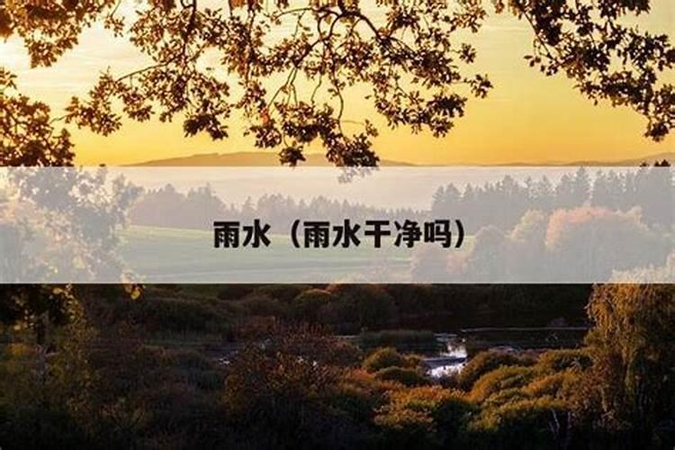 天然肥料有哪些