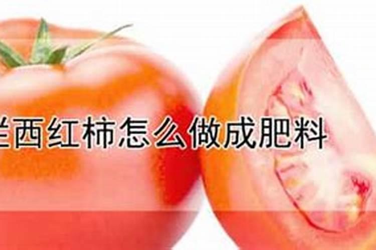 烂掉的西红柿千万别丢弃,越烂越有价值
