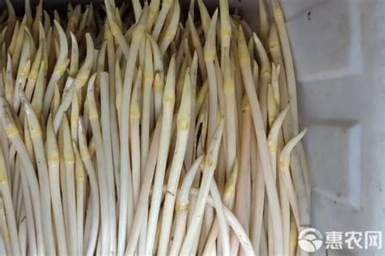 瑞昌新洋丰莲藕莲子专用复合肥多少钱一吨？