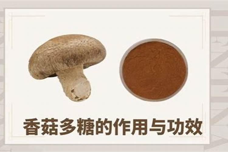 香菇的功效与作用