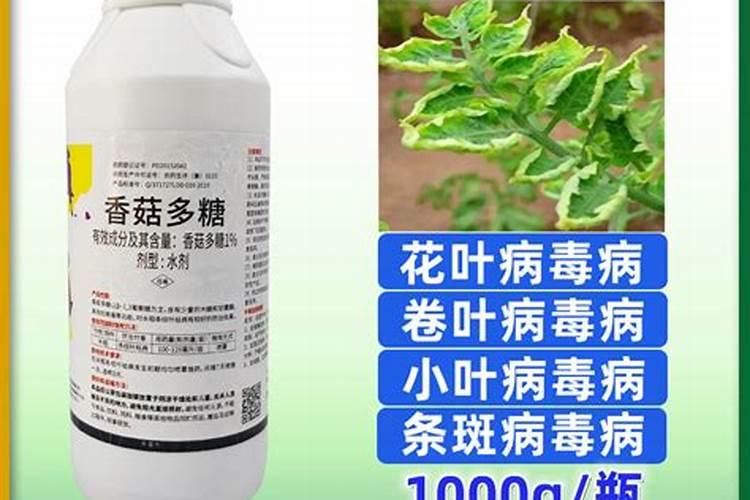 辣椒病毒病用什么药效果好